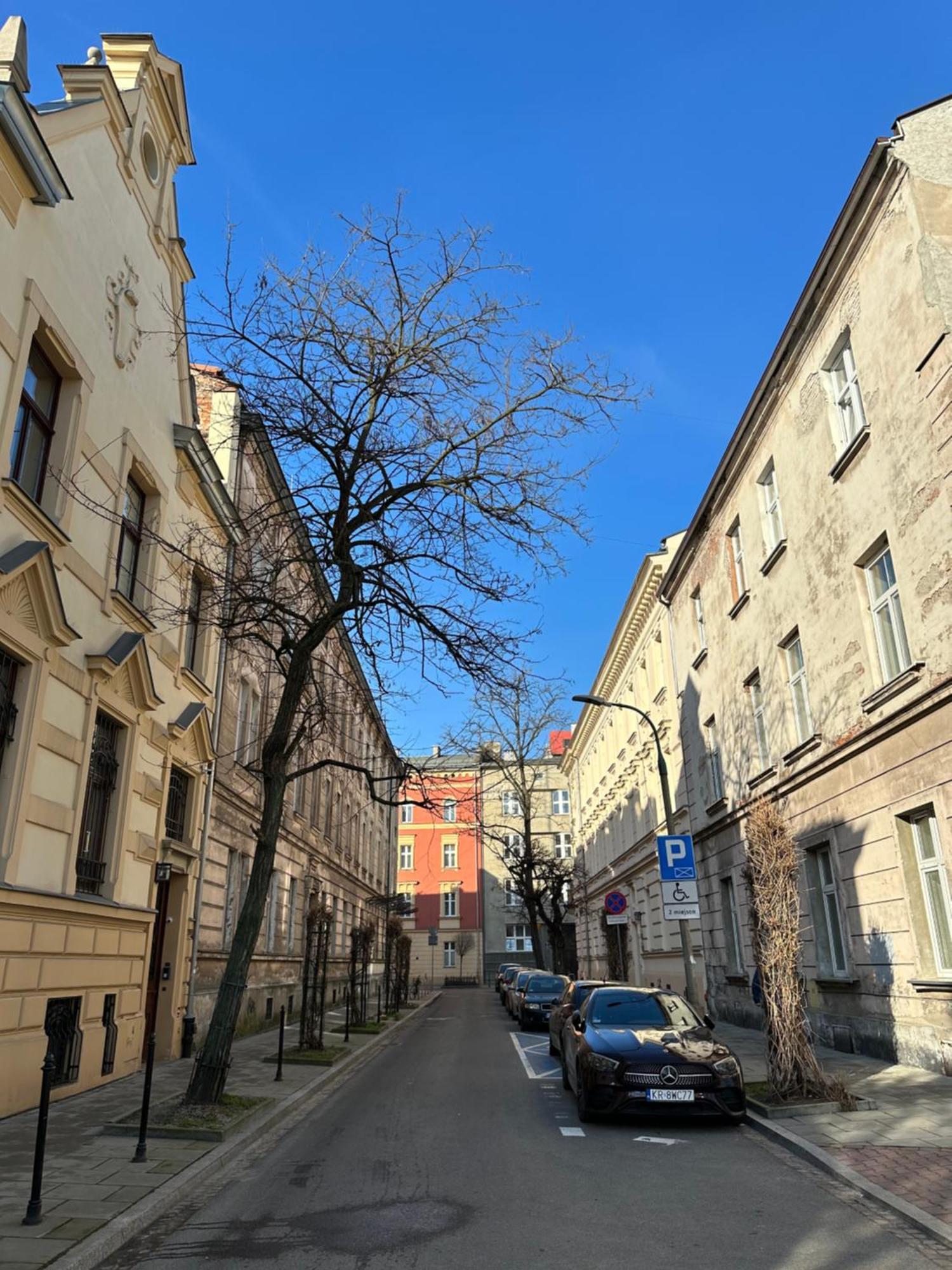 Perfect Place To Stay In Krakow City Center 40M2 W4 Exterior foto